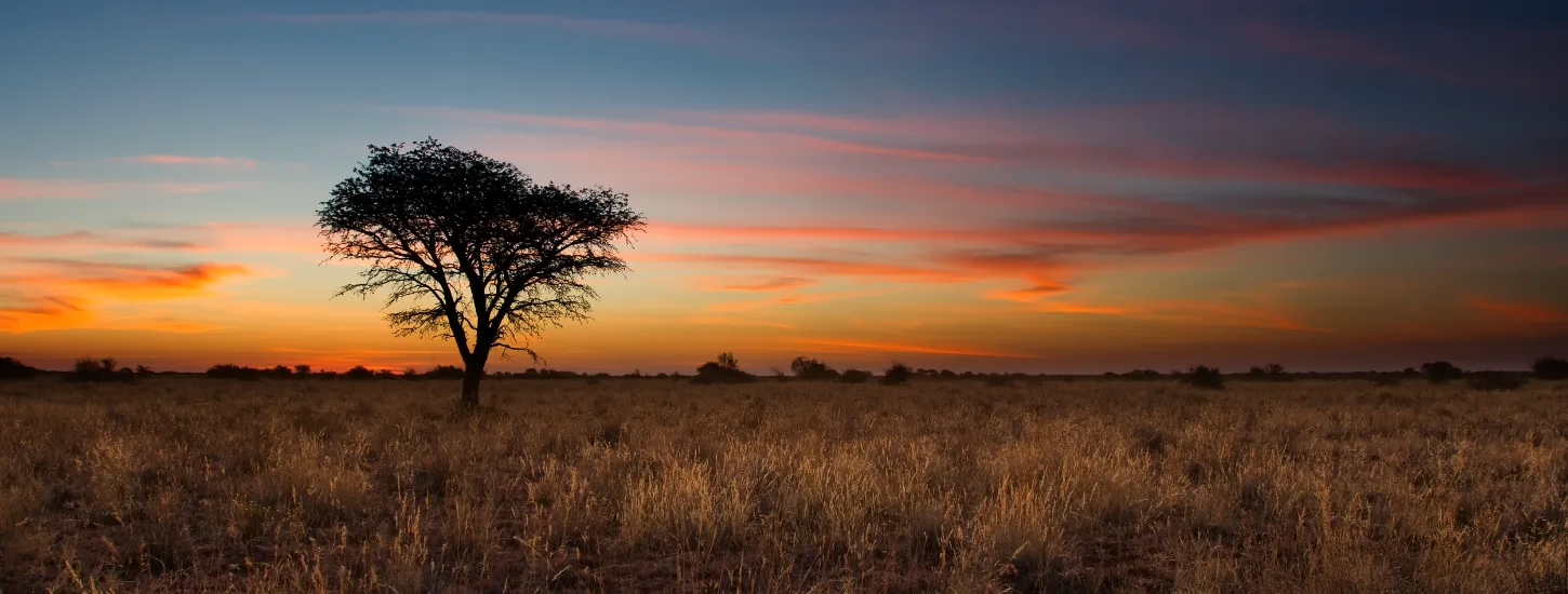 Top 8 Africa Safari Holidays
