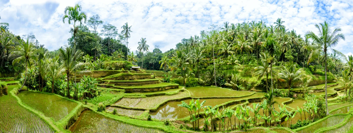 Ubud Holidays