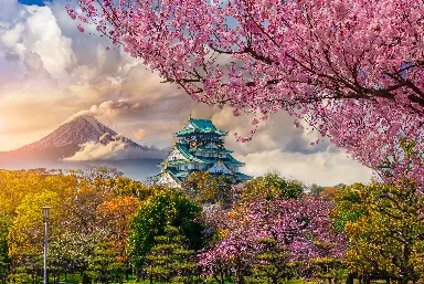 Japan Cherry Blossom Tour Package