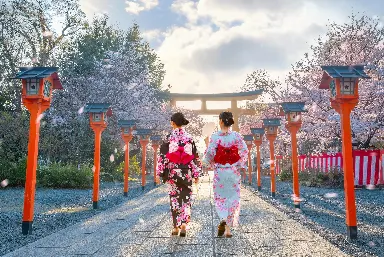 Holiday Tour of Japan