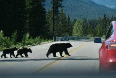 Calgary and Banff Holiday