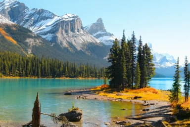 Rocky Mountaineer Rainforest to Gold Rush