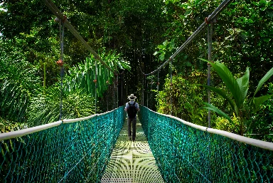 Miami and Costa Rica Twin Centre Holiday