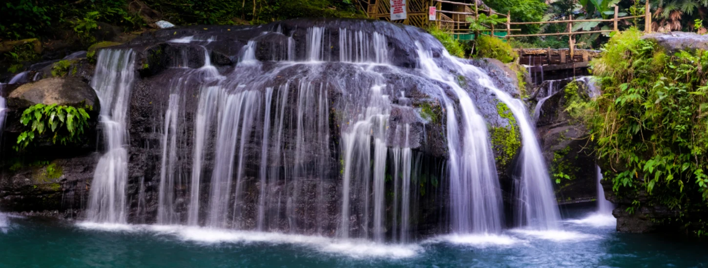 Monteverde & The Cloud Forest