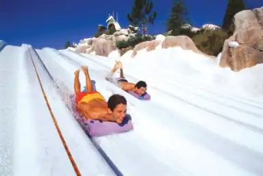 Things to do at Disney Blizzard Beach Water Park