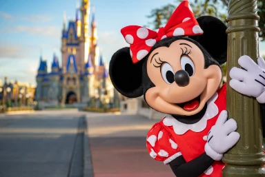 Disney & Universal Holiday