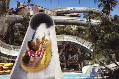 Things to do at Disney Typhoon Lagoon Water Park