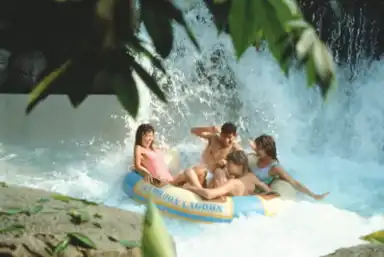 Things to do at Disney Typhoon Lagoon Water Park