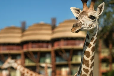 Florida Holidays 2026