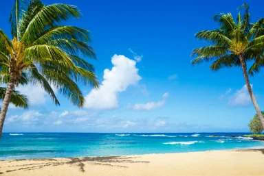 San Francisco & Kauai Holidays