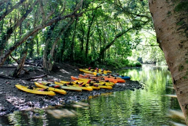 Kayak the Wailua River