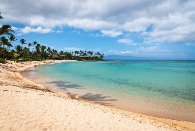 Best Beaches to Visit in Maui