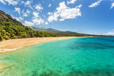 Best Beaches to Visit in Maui