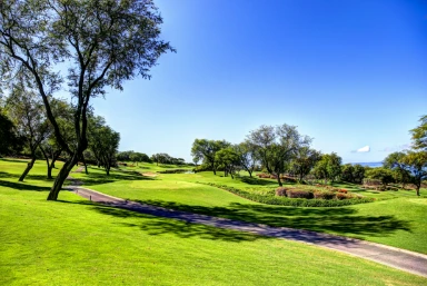 Golfing in Maui