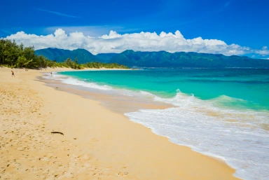Best Beaches to Visit in Maui