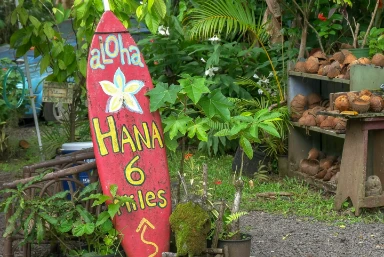 Waikiki & Maui Holiday