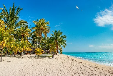 Mauritius and Seychelles