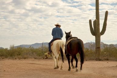 Arizona Ranch Holiday