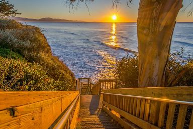 California Pacific Coast