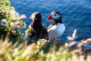 Iceland Escorted Holidays